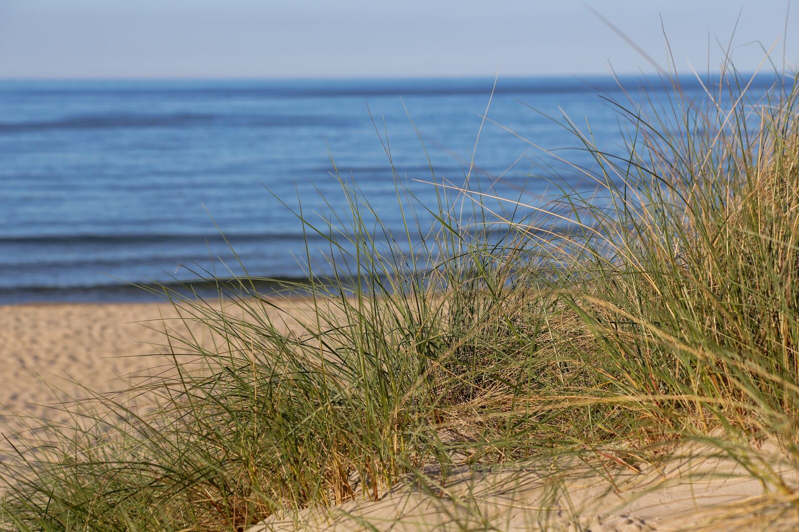 Canon EOS 6D sample photo. Beach, baltic sea, sand photography