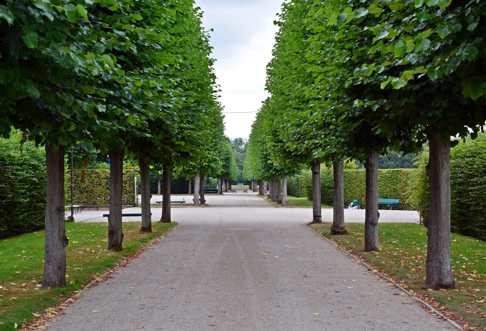 Nikon D5200 sample photo. Away, park, trees photography