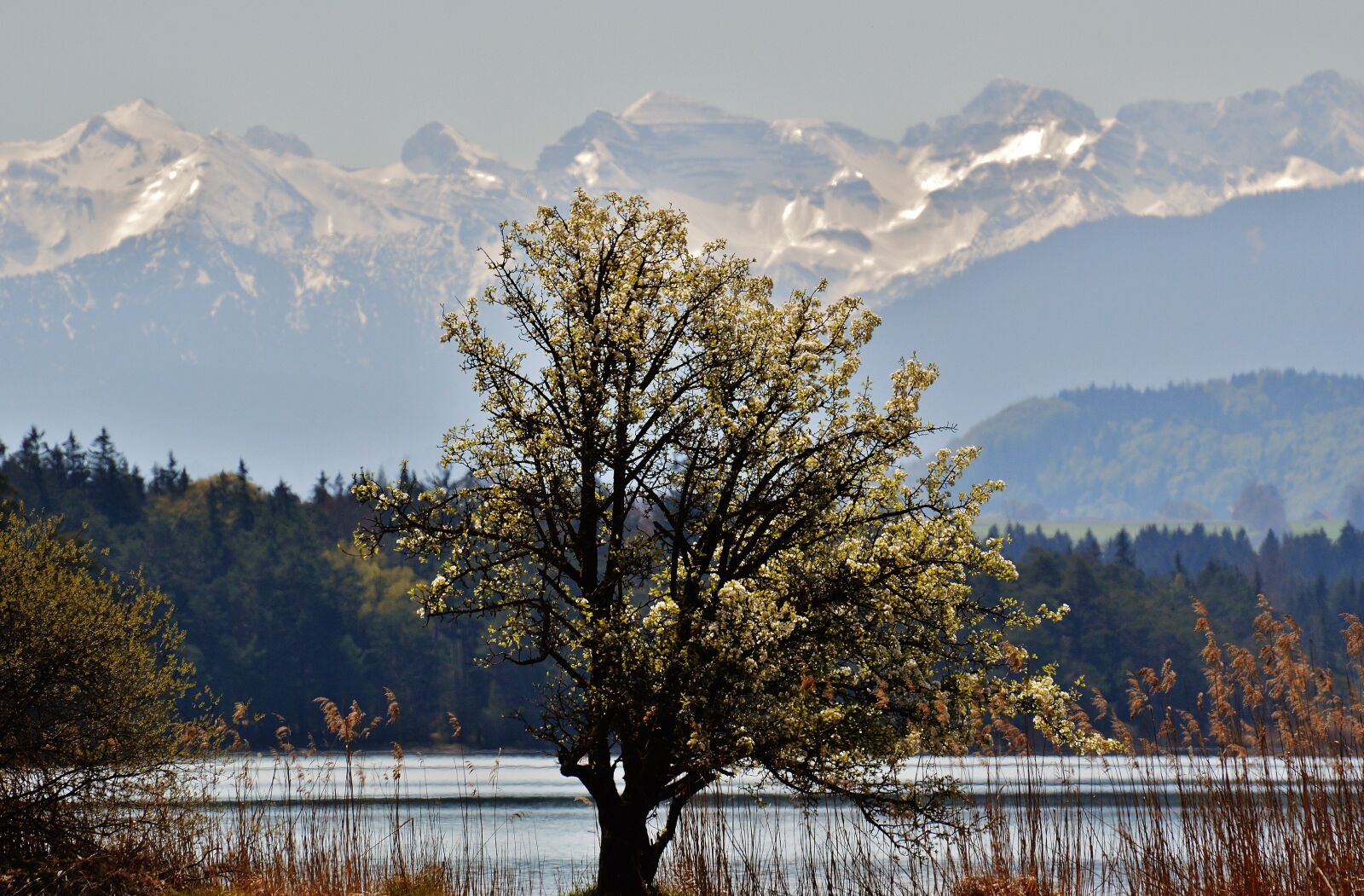 Nikon D3200 sample photo. Landscape, easter lake, iffeldorf photography