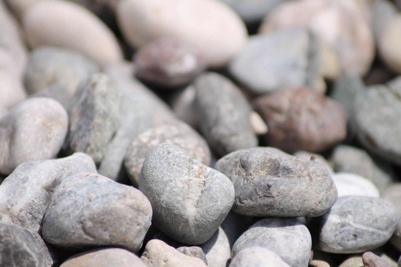 Canon EOS 1100D (EOS Rebel T3 / EOS Kiss X50) sample photo. Pebbles, beach, sea photography