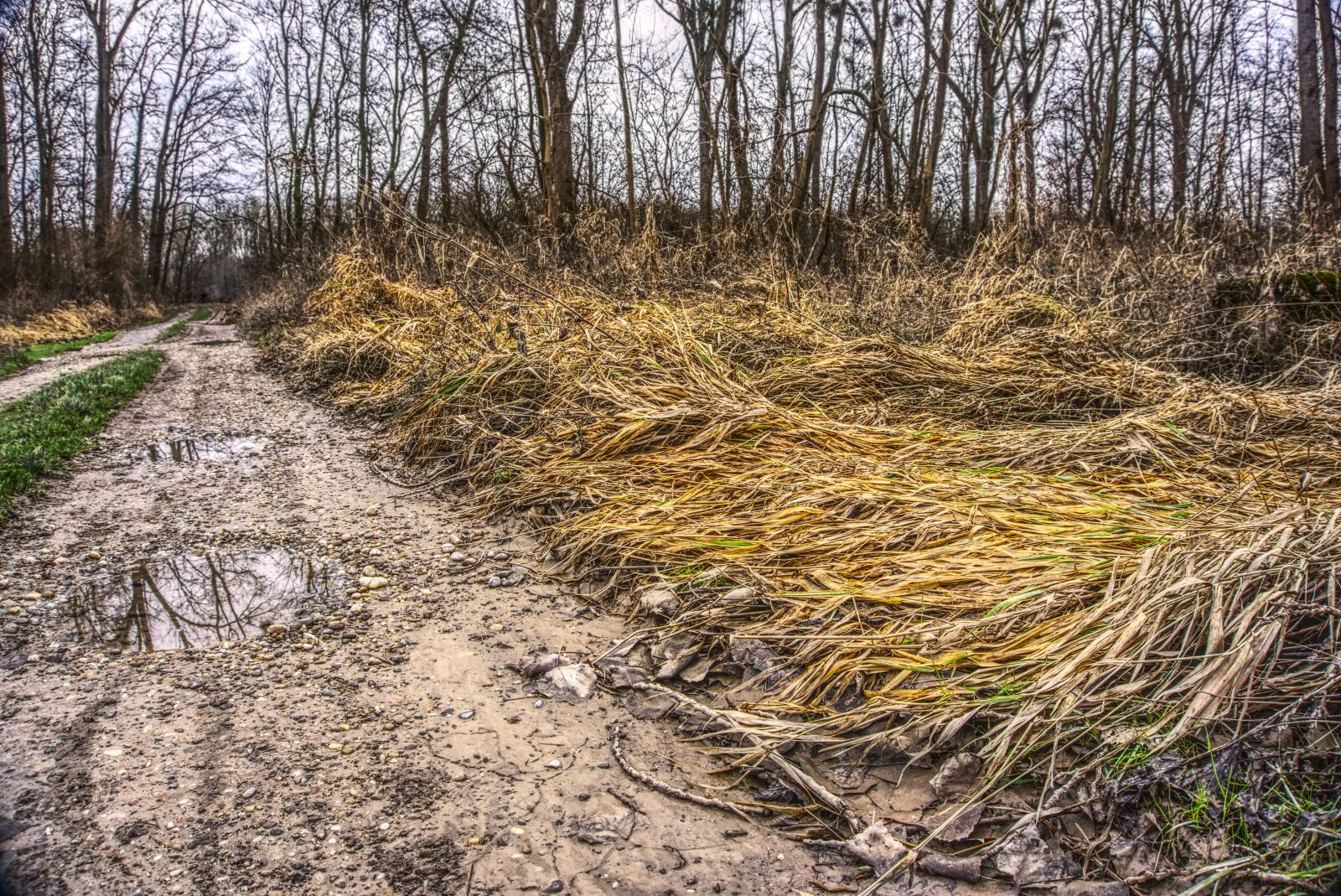 Sony E 16-50mm F3.5-5.6 PZ OSS sample photo. Devastation, high water, over photography