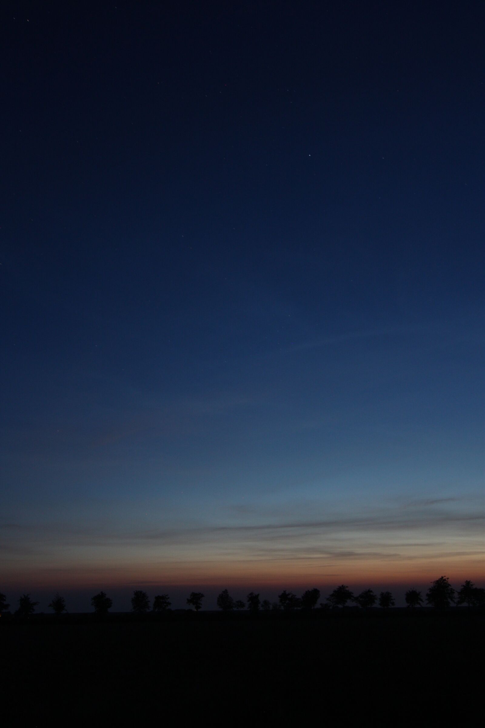Canon EOS 450D (EOS Rebel XSi / EOS Kiss X2) sample photo. Sunset, star, trees photography