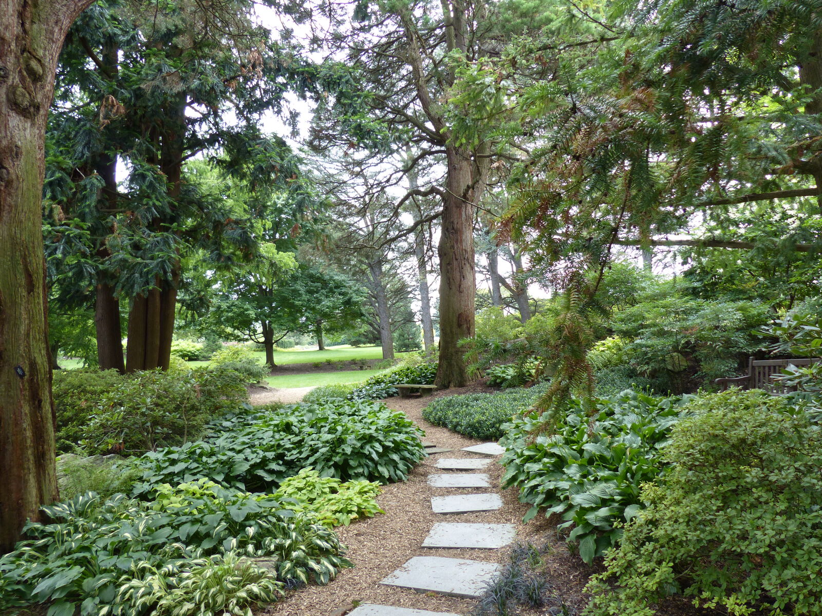 Panasonic Lumix DMC-FZ200 sample photo. Foot, path, garden, greenery photography