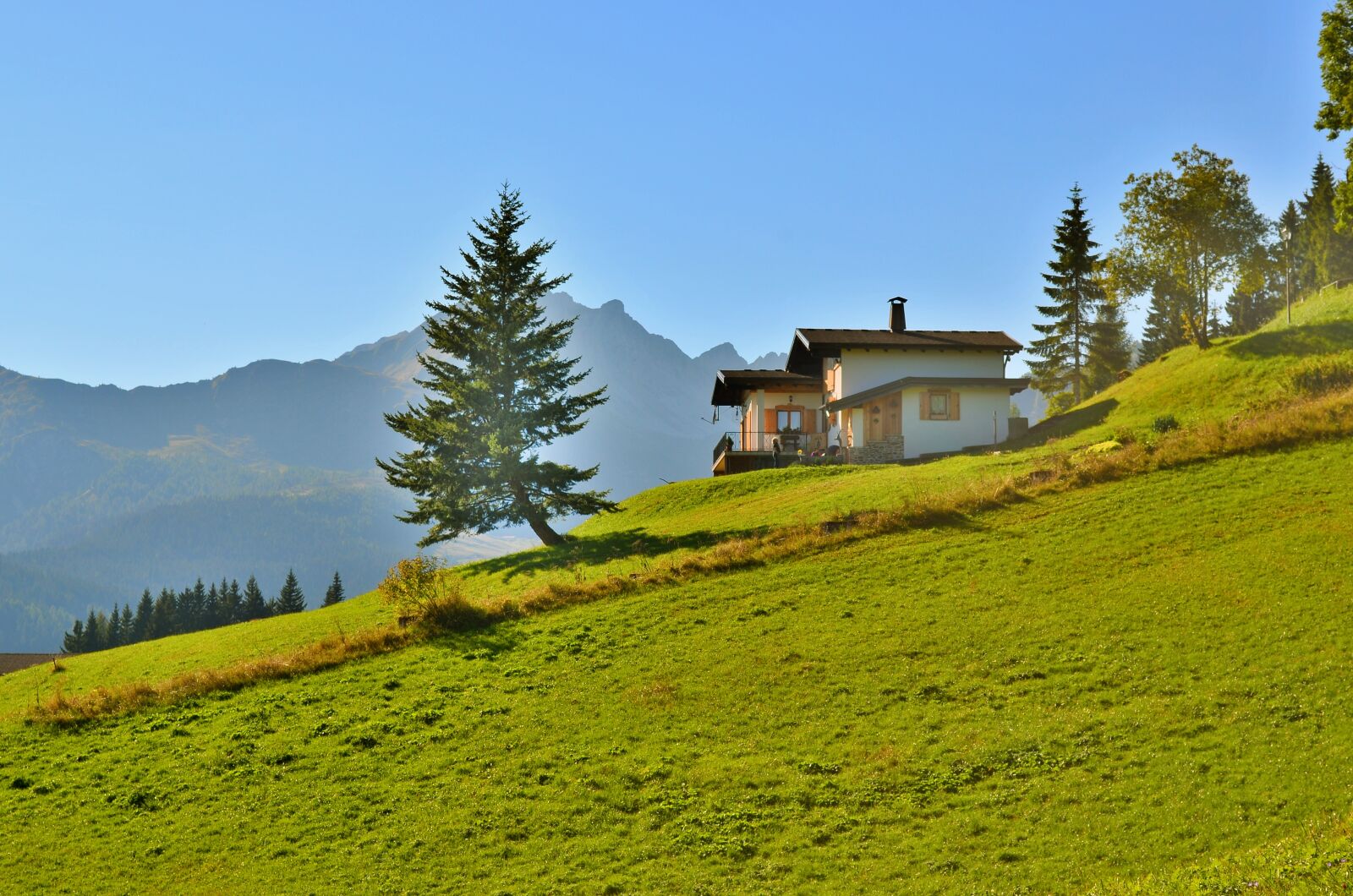 Nikon D5100 sample photo. Sauris, mountain, tree photography