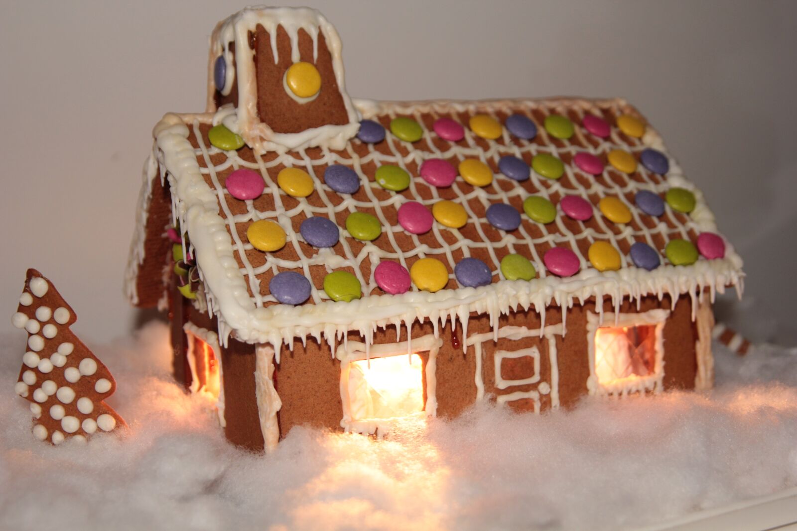 Canon EOS 550D (EOS Rebel T2i / EOS Kiss X4) sample photo. Gingerbread houses, christmas, gingerbread photography