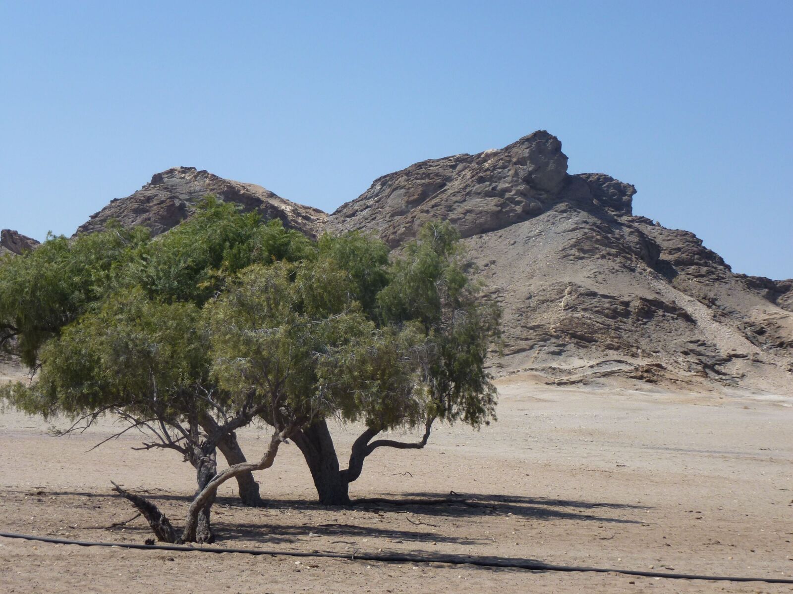 Panasonic Lumix DMC-ZS10 (Lumix DMC-TZ20 / Lumix DMC-TZ22) sample photo. Tree, mountain, landscape photography