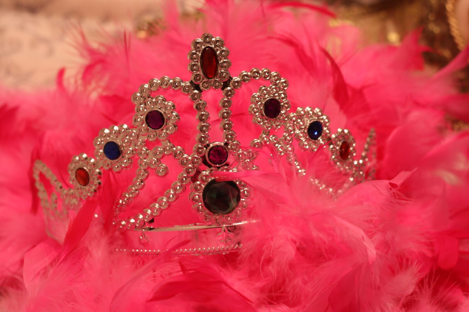 Canon EF 50mm F1.8 STM sample photo. Crown, fancy dress, costume photography