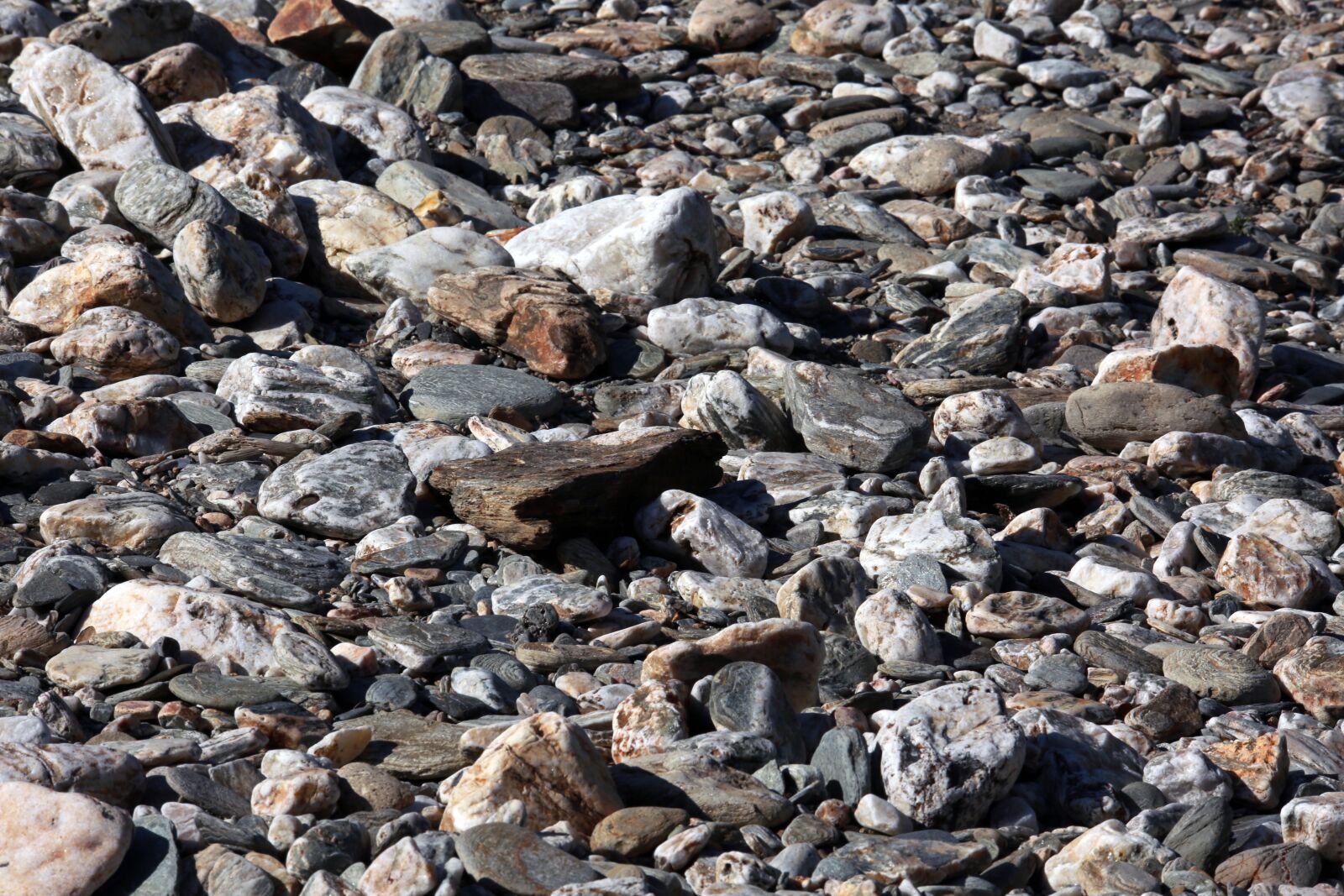 Canon EOS 5D Mark III sample photo. Pebble, river bank, pebbles photography