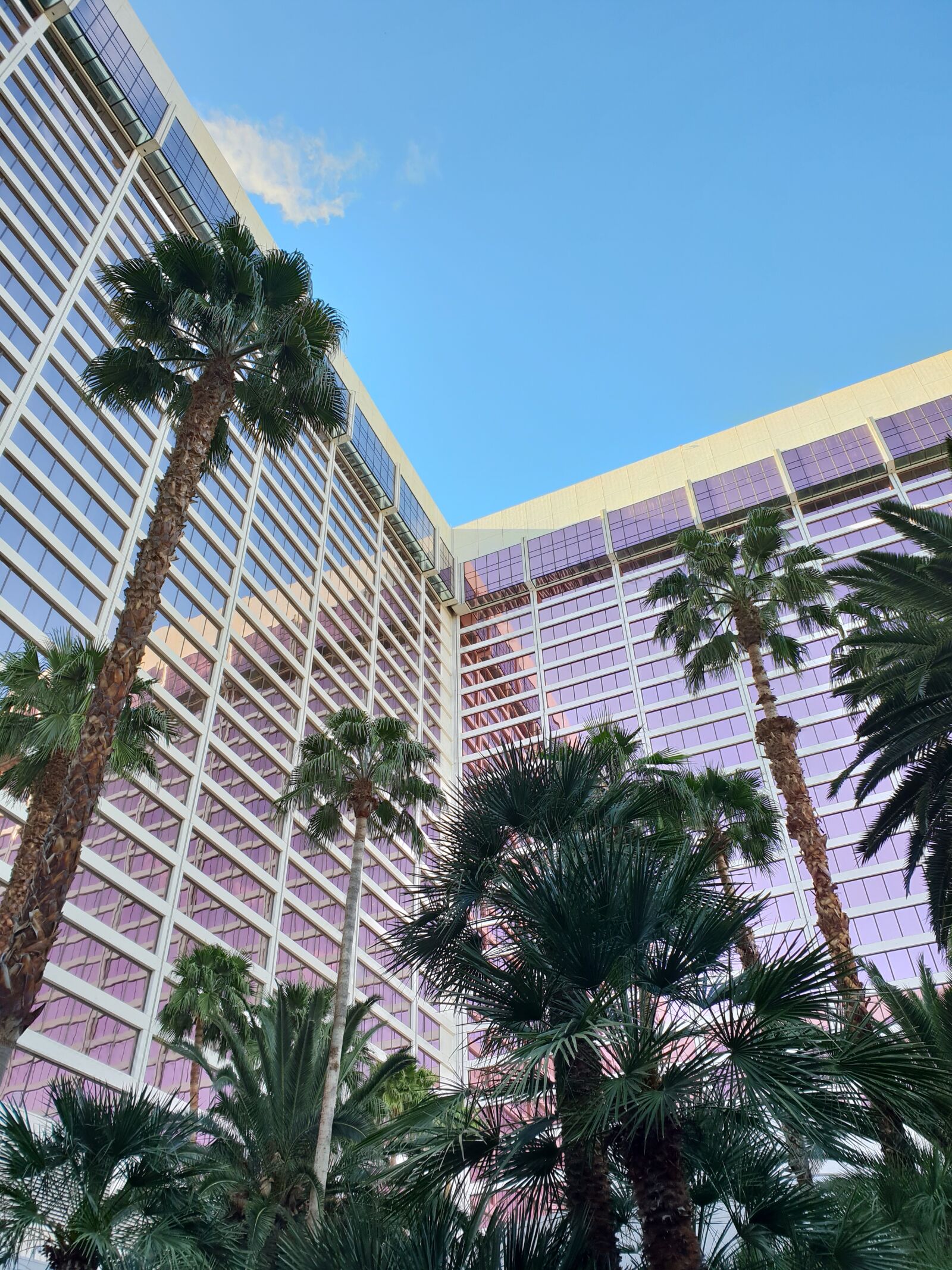 Samsung Galaxy S9+ sample photo. Vegas, flamingo hotel, reflection photography