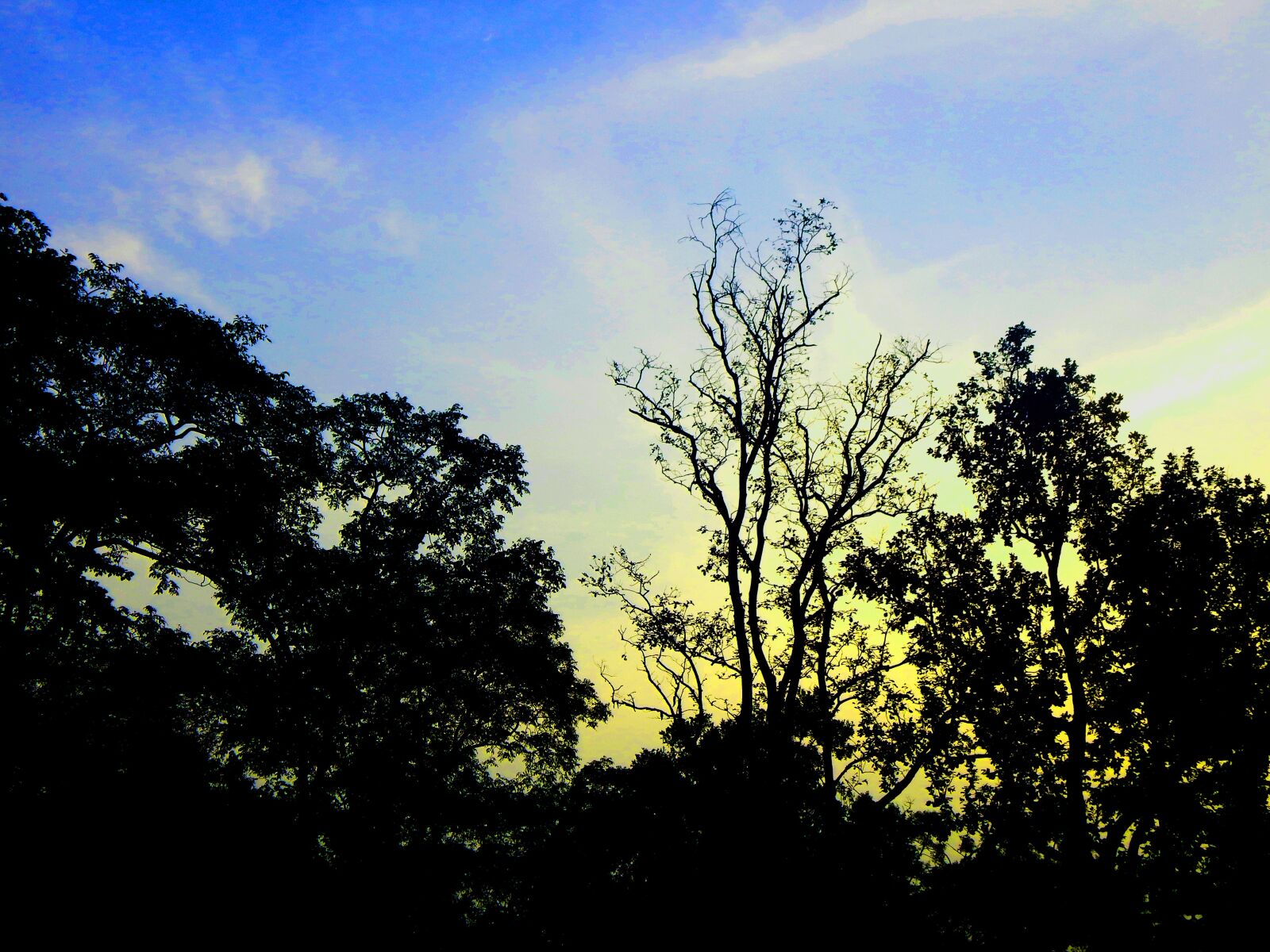 Nikon Coolpix L830 sample photo. Sunset, national, nature photography