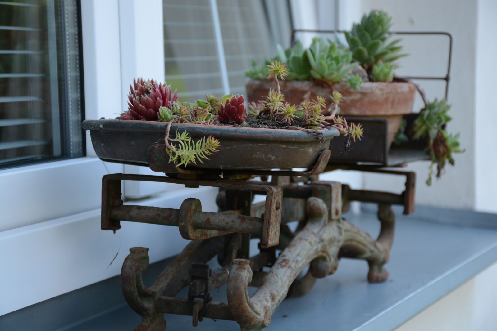 Nikon D7100 sample photo. Netřesk, weight, garden photography