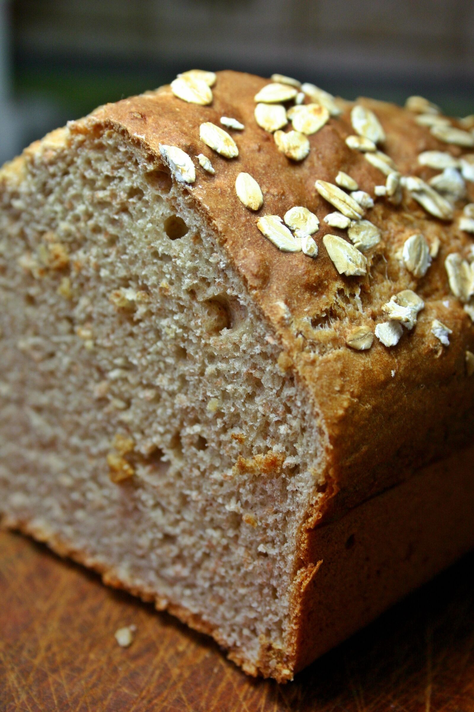 Canon EOS 300D (EOS Digital Rebel / EOS Kiss Digital) sample photo. Bread, spelled bread, spelt photography