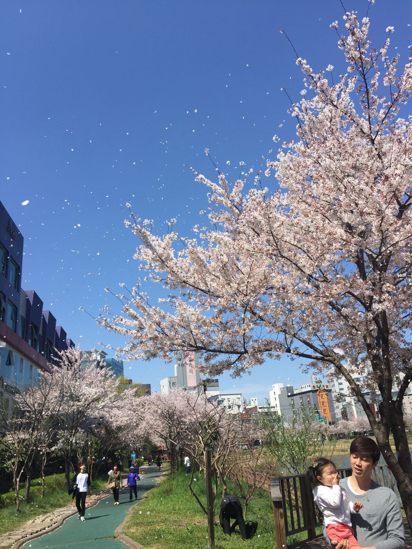 iPhone 6 Plus back camera 4.15mm f/2.2 sample photo. People, in, a, town photography