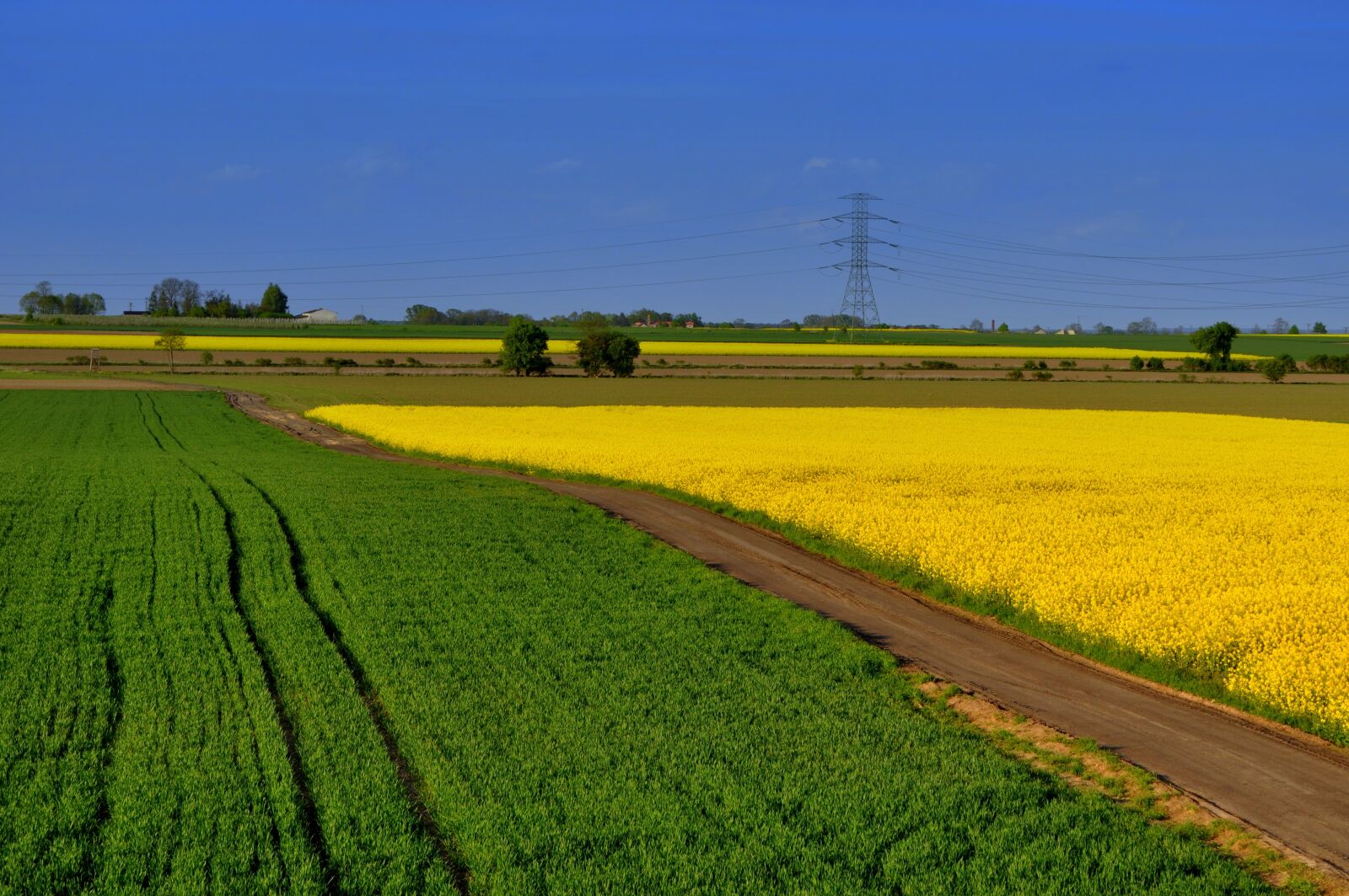 Nikon D5000 sample photo. Poland, landscape, village photography