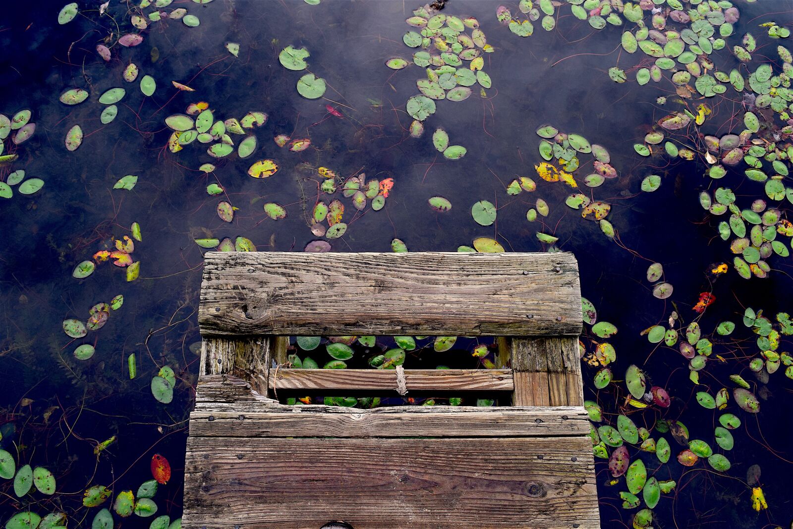 Nikon D3300 sample photo. Dock, water, wooden photography