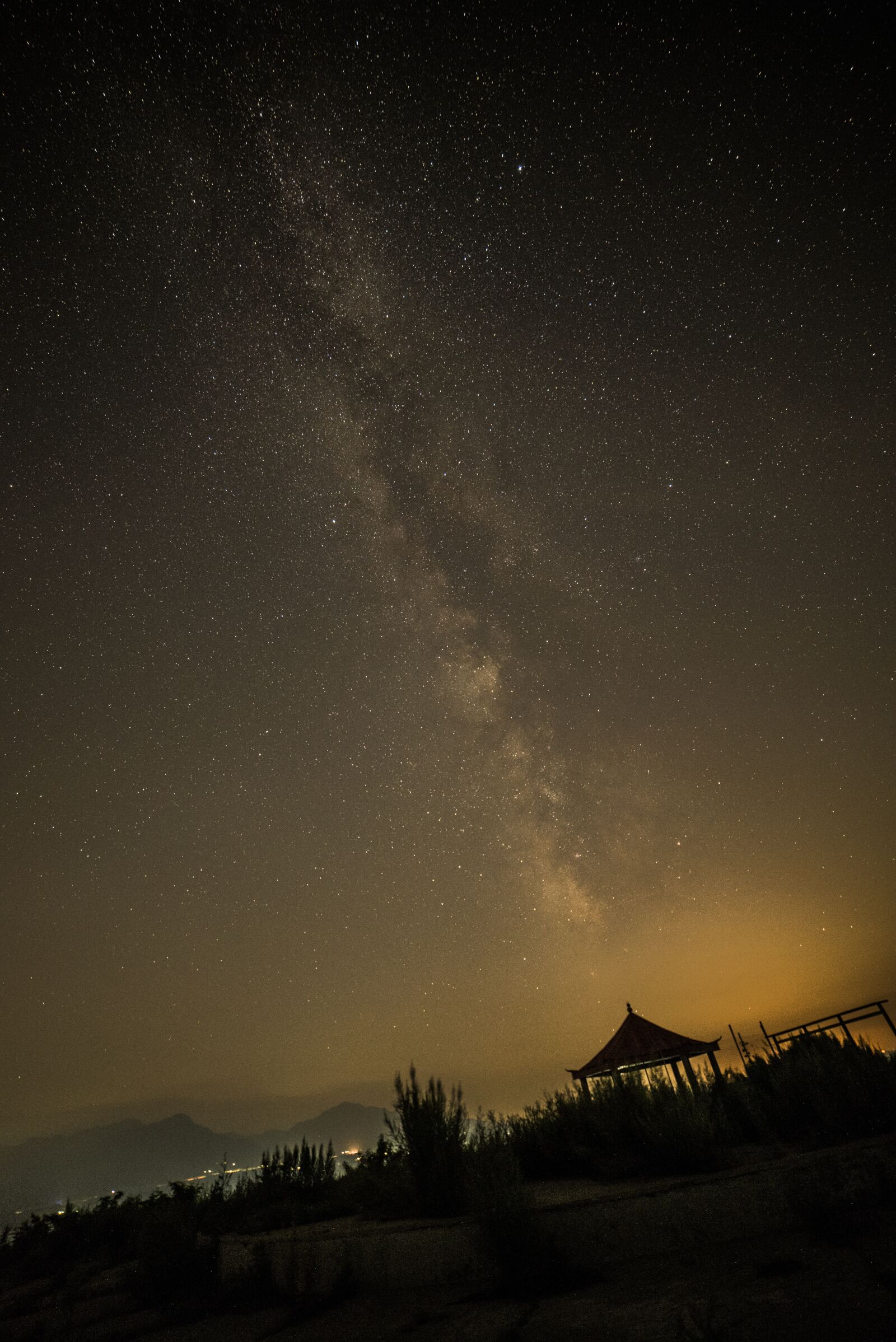 Nikon D750 sample photo. Star, night, shy photography