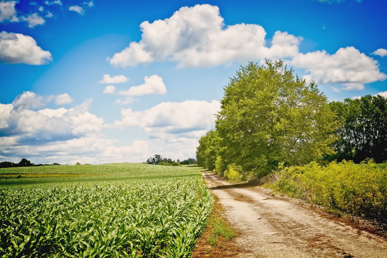 Canon EOS 5D Mark II sample photo. Two track, lane, scenery photography