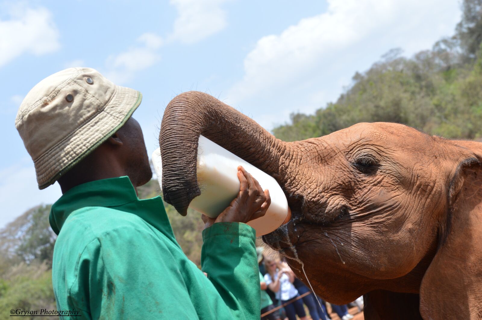 Nikon D3200 sample photo. Feeding, baby, elephants photography