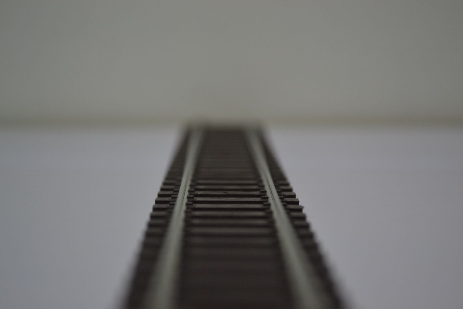 Nikon D3100 sample photo. Pathways, road train, trail photography