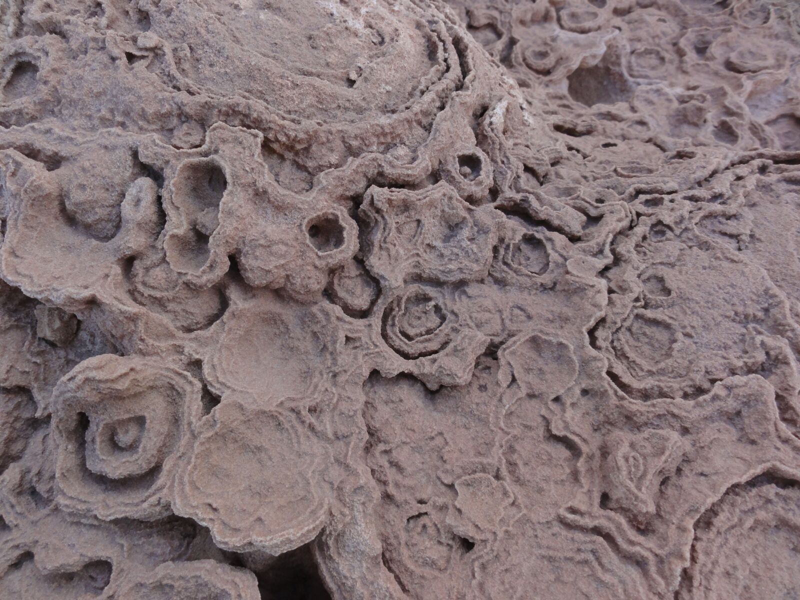 Sony DSC-HX5V sample photo. Desert roses, sahara, gypsum photography