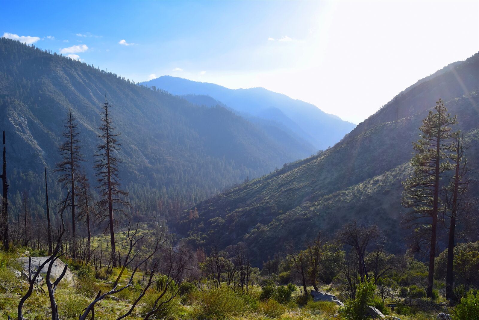 Nikon D3300 sample photo. Mountains, nature, tree photography
