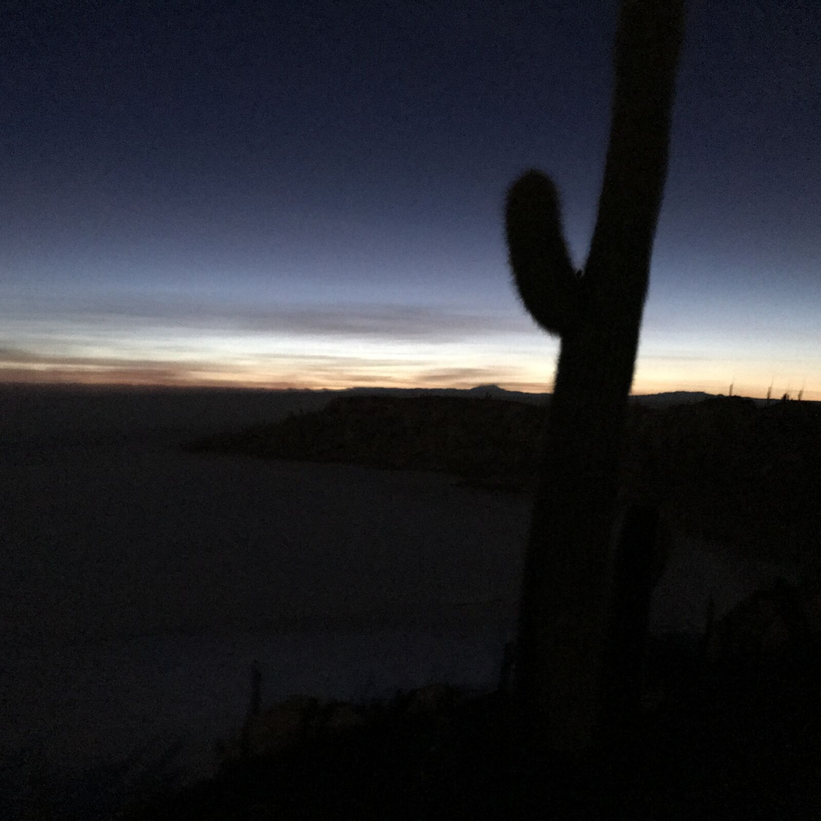 iPhone 7 Plus back dual camera 3.99mm f/1.8 sample photo. Sunset, cactus, peaceful photography