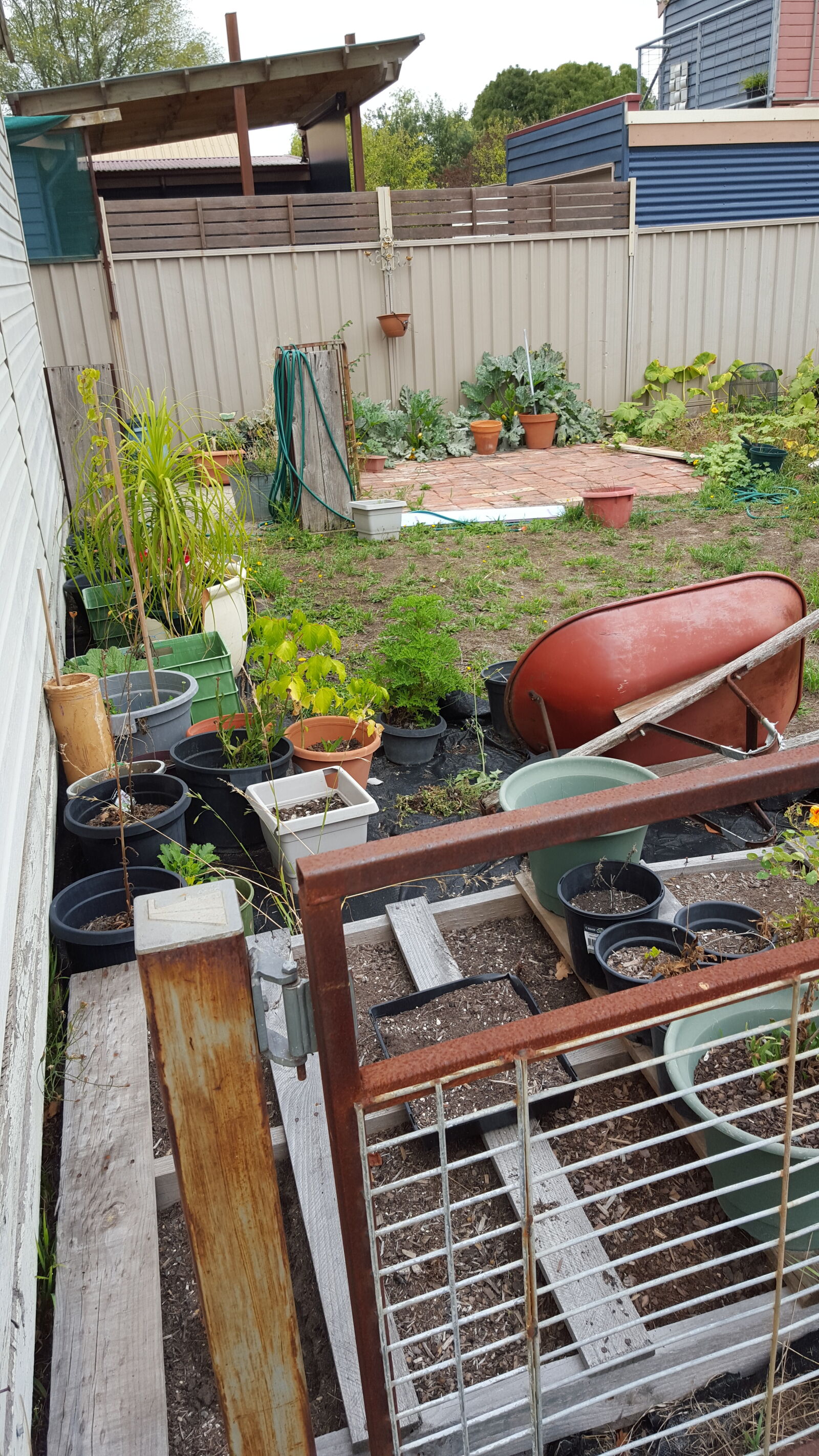 Samsung Galaxy S6 sample photo. Gardening, plants photography