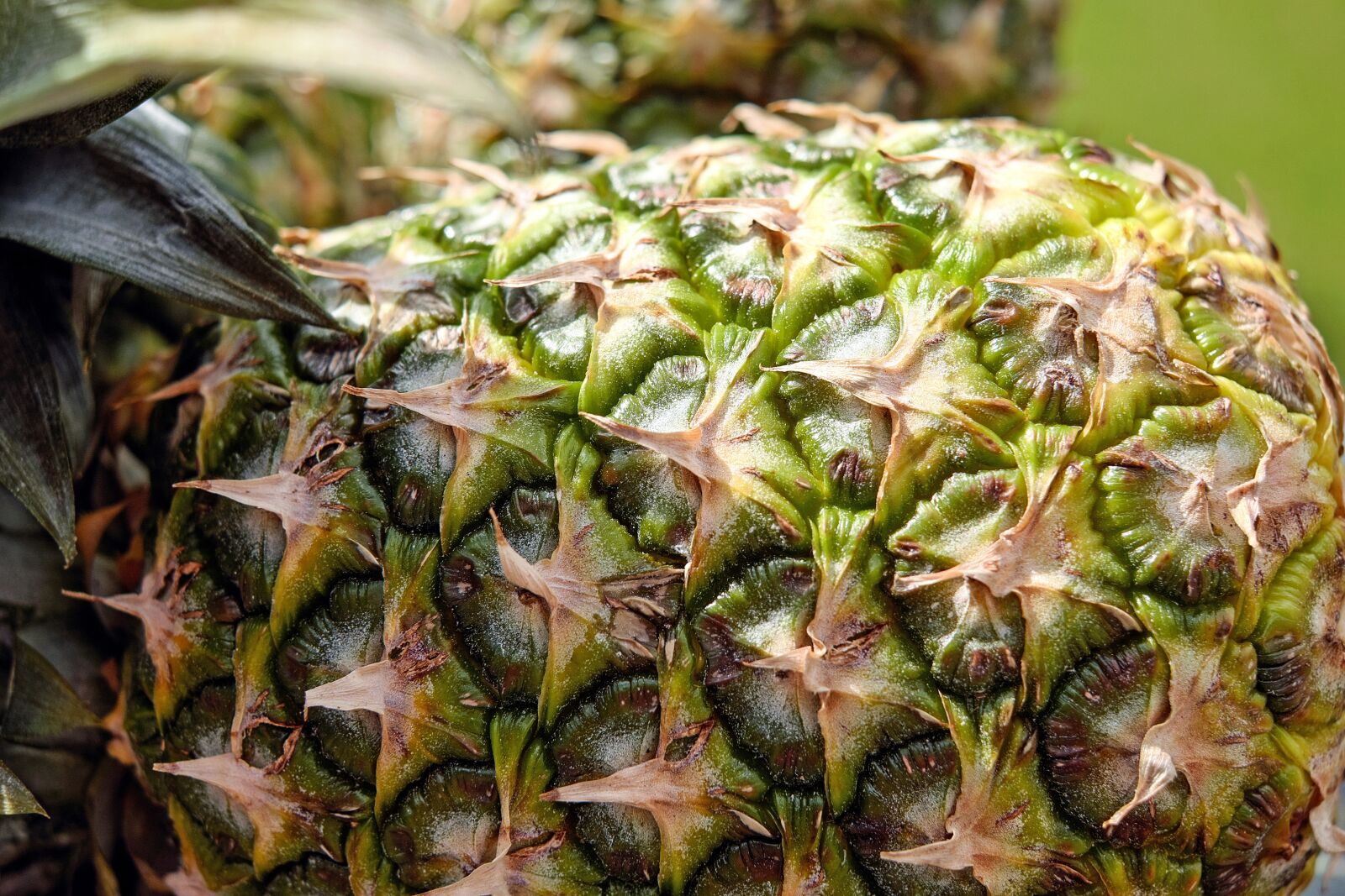 Fujifilm X-T10 + Fujifilm XF 35mm F1.4 R sample photo. Pineapple, fruit, texture photography