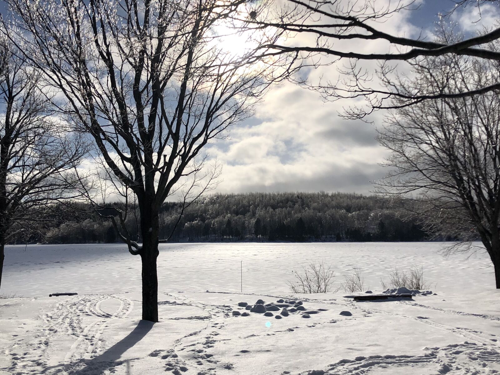 iPhone 8 Plus back dual camera 3.99mm f/1.8 sample photo. Landscape, snow, winter photography