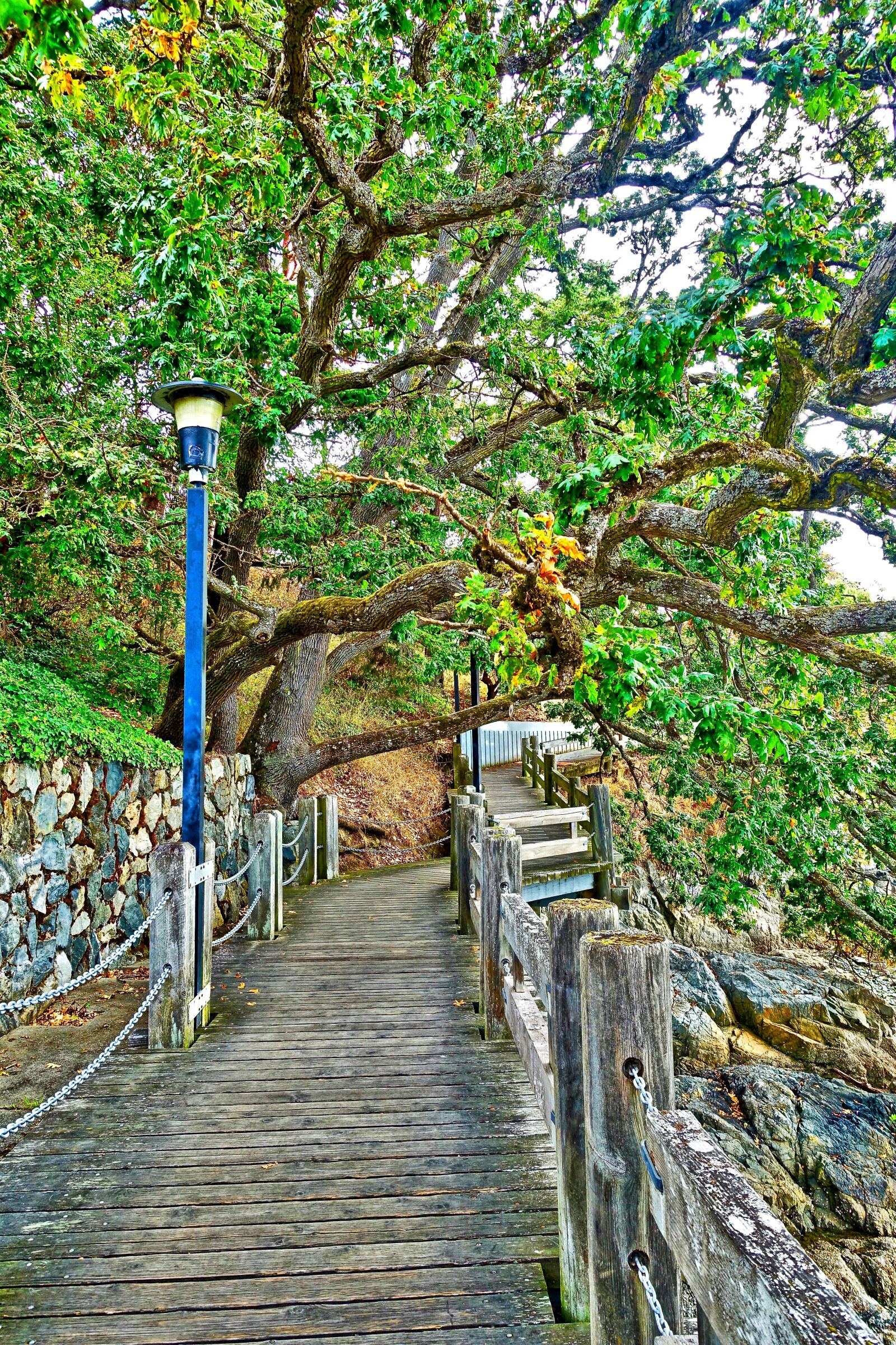 Sony Cyber-shot DSC-RX100 III sample photo. Walkway, path, wooden photography