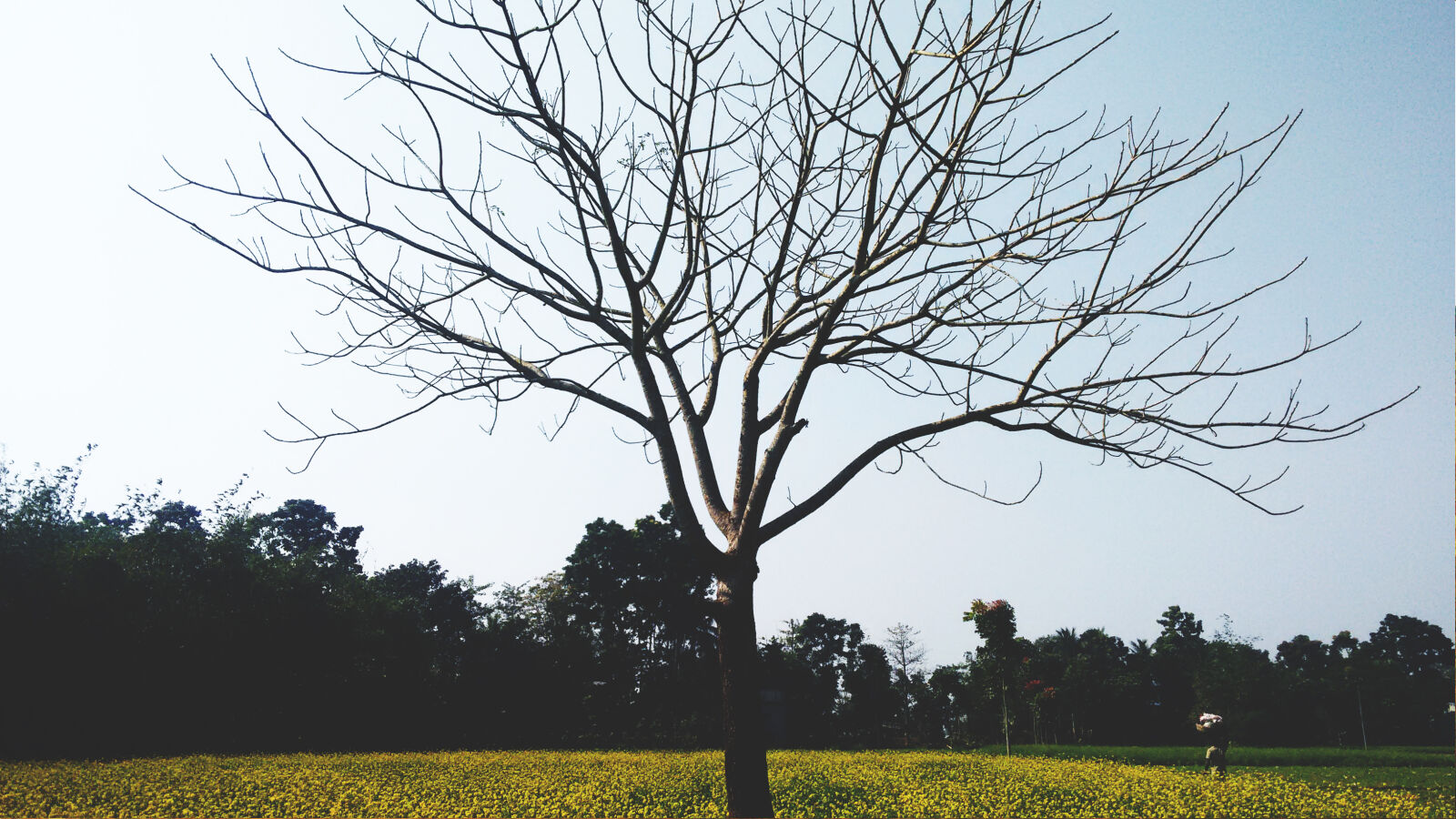 Motorola Moto G (2nd Gen) sample photo. Background, black, blue, sky photography