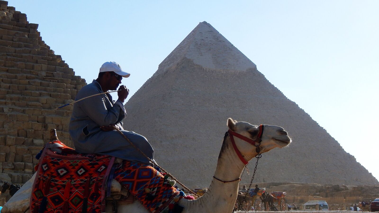 Nikon Coolpix L830 sample photo. Pyramid, camel, egypt photography