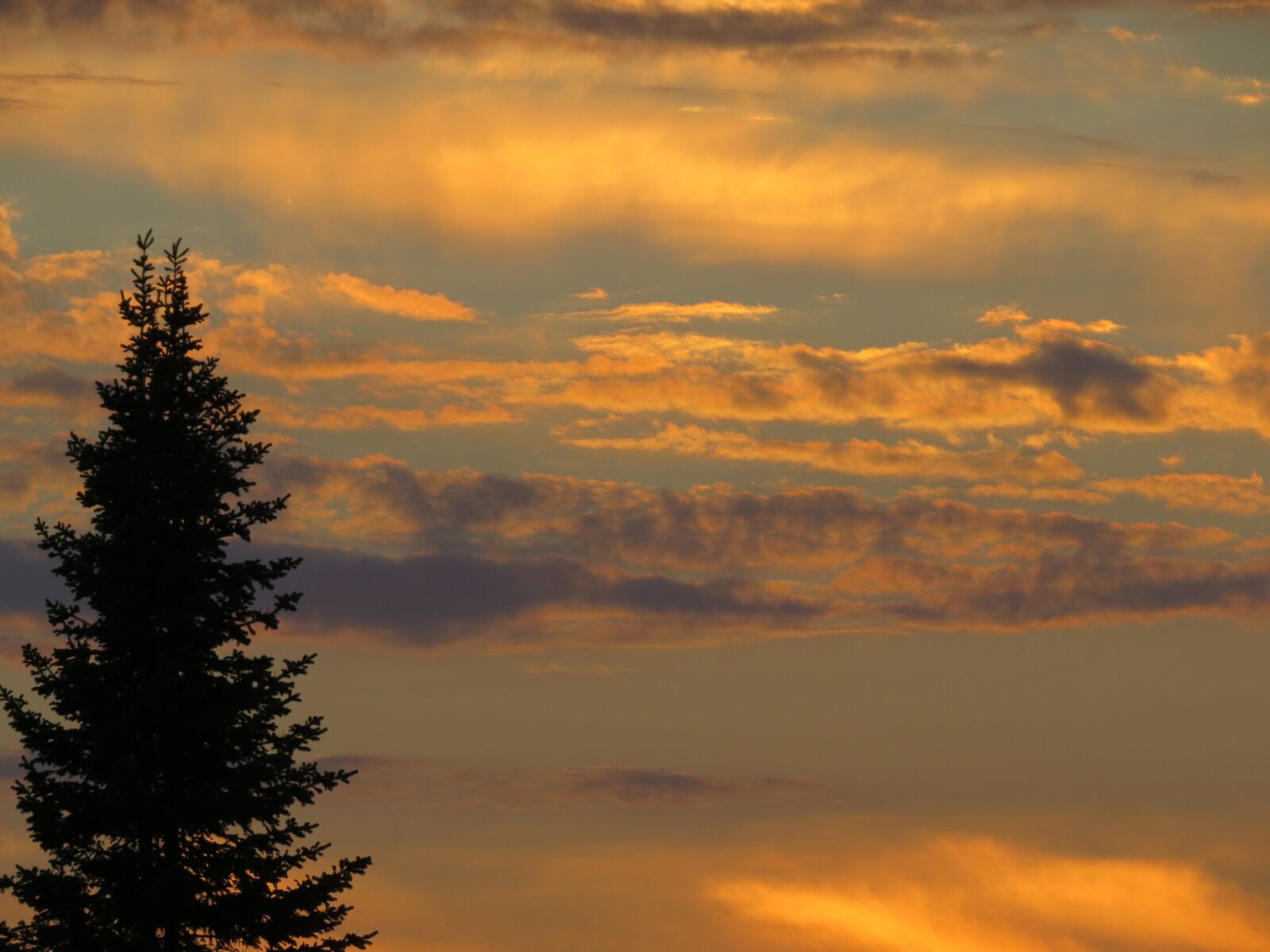 Canon PowerShot SX50 HS sample photo. Sunset, bright, efi photography