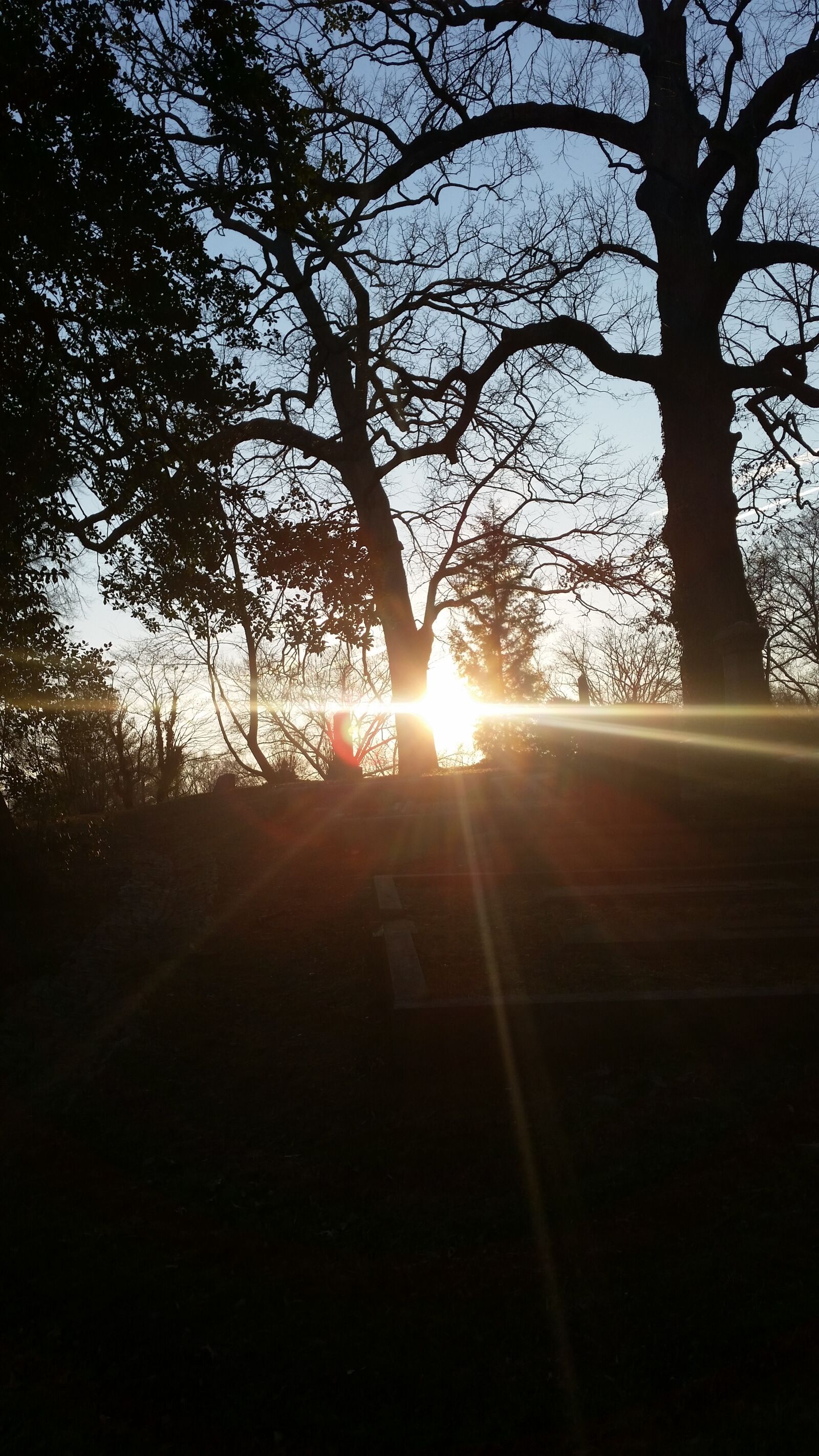 Samsung Galaxy S5 sample photo. Cemetery, sun, light photography