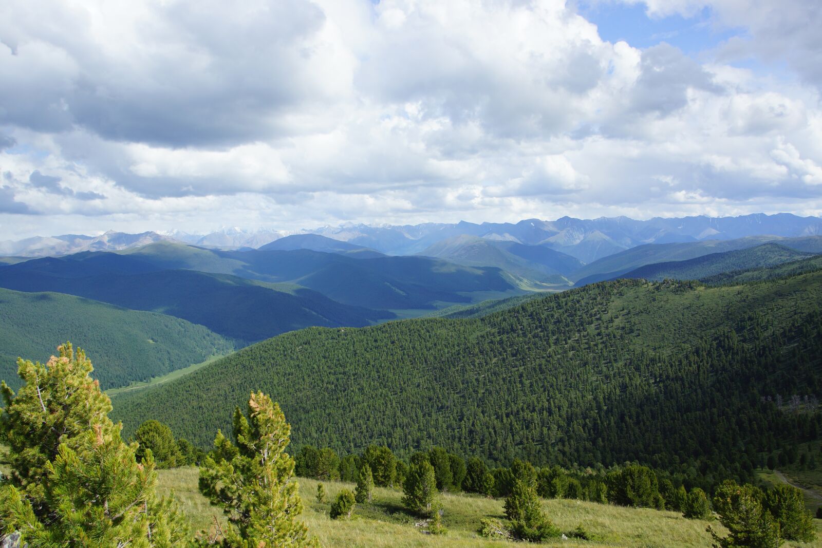 Sony SLT-A65 (SLT-A65V) sample photo. Nature, mountain altai, clouds photography