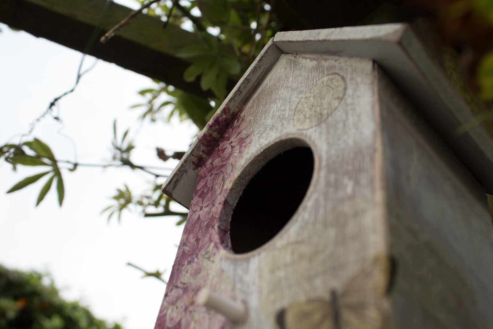 Canon EOS 1300D (EOS Rebel T6 / EOS Kiss X80) sample photo. Bird house, bird box photography