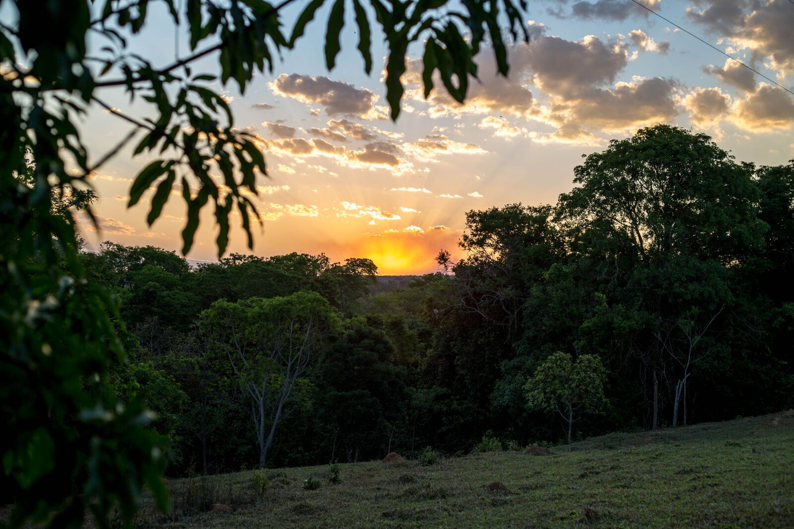 Canon EF 50mm F1.8 II sample photo. By-sun, sol, nature photography