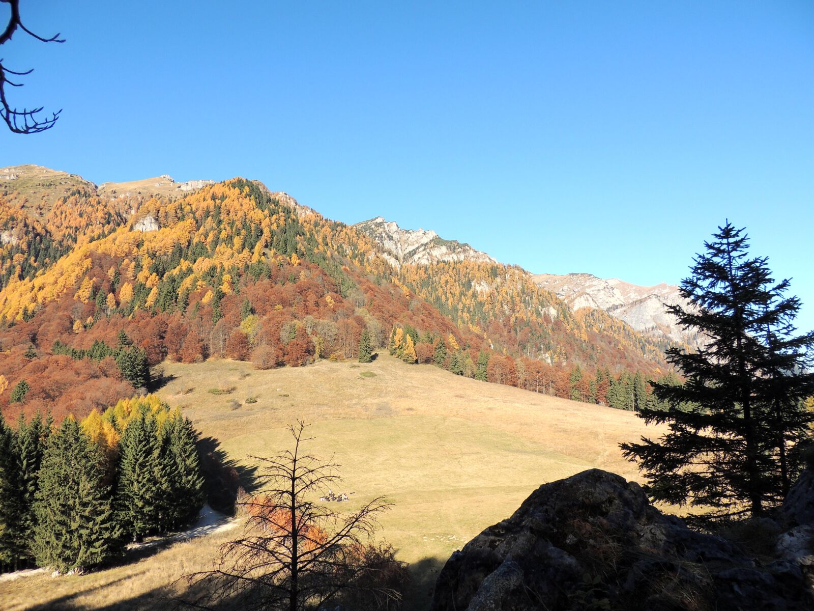 Nikon Coolpix P510 sample photo. Royal sheepfold, mountain, sinaia photography