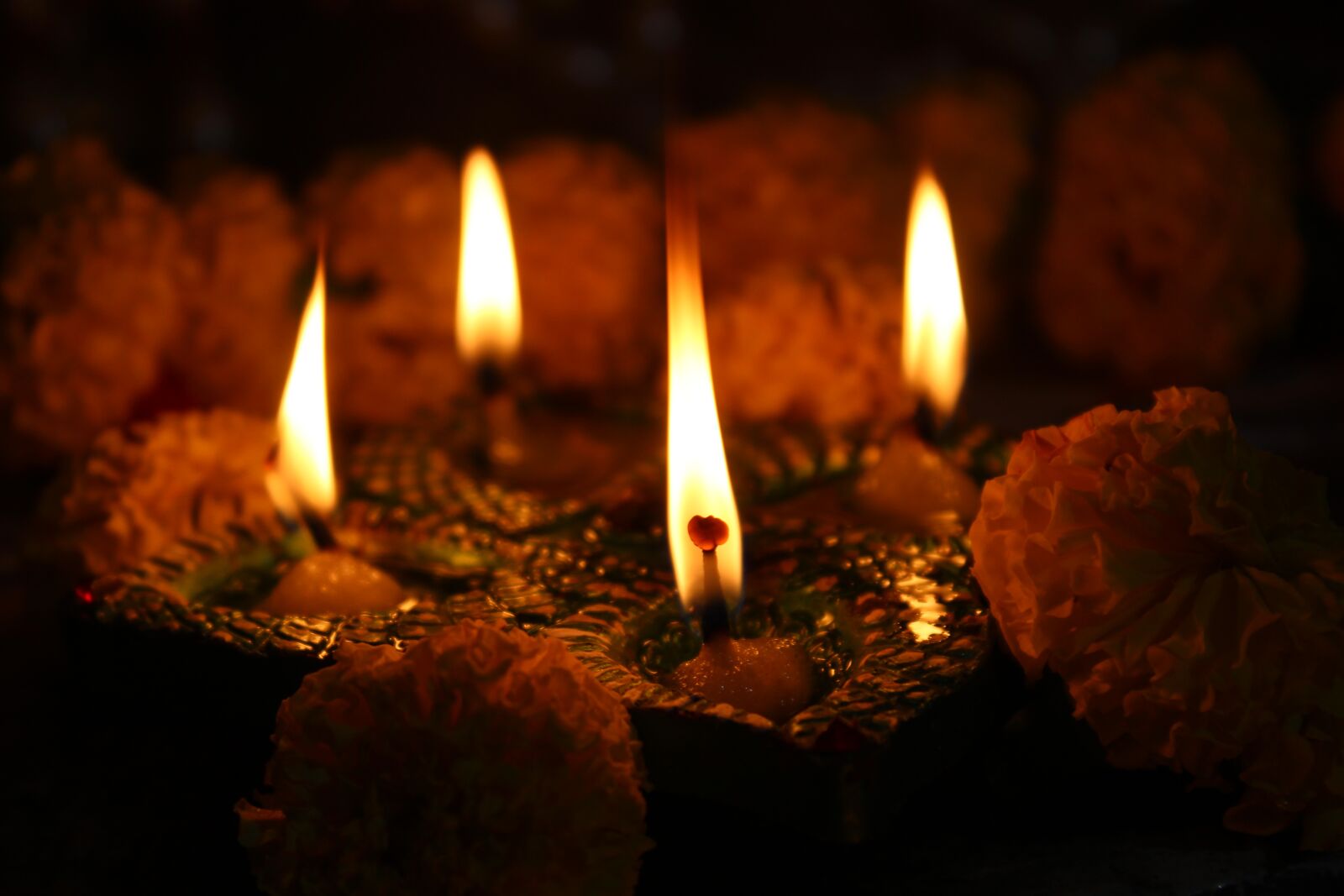 Canon EOS 1200D (EOS Rebel T5 / EOS Kiss X70 / EOS Hi) sample photo. Diyas, flowers, gaenda photography