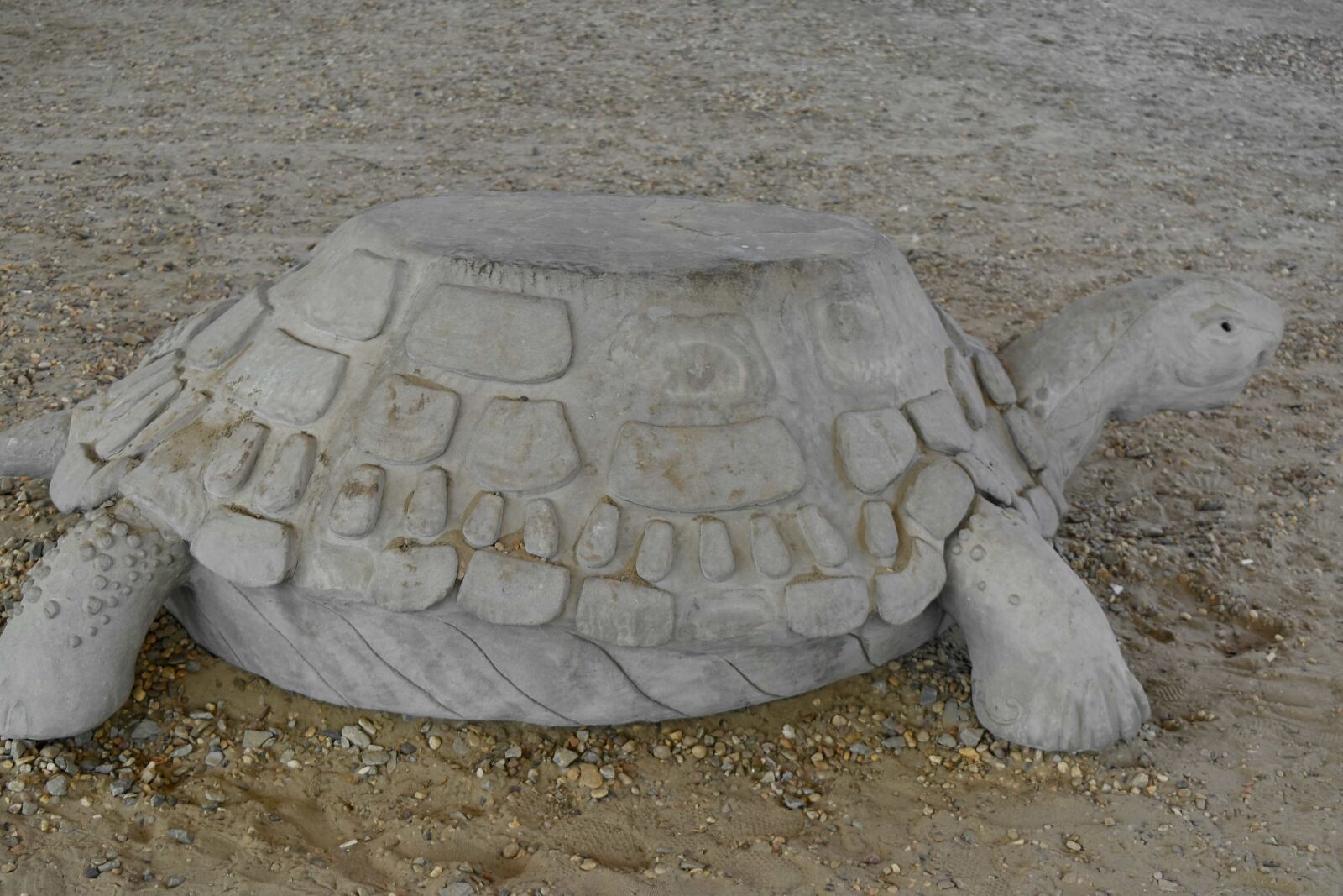 Nikon D5500 sample photo. Concrete, sculpture, turtle, sand photography