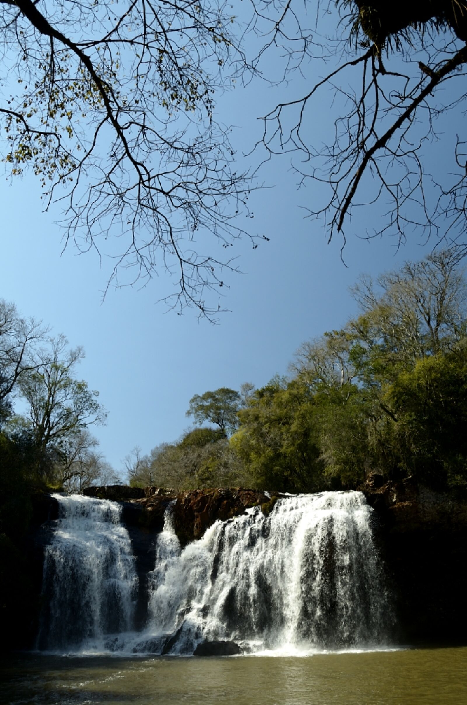 Nikon D5100 sample photo