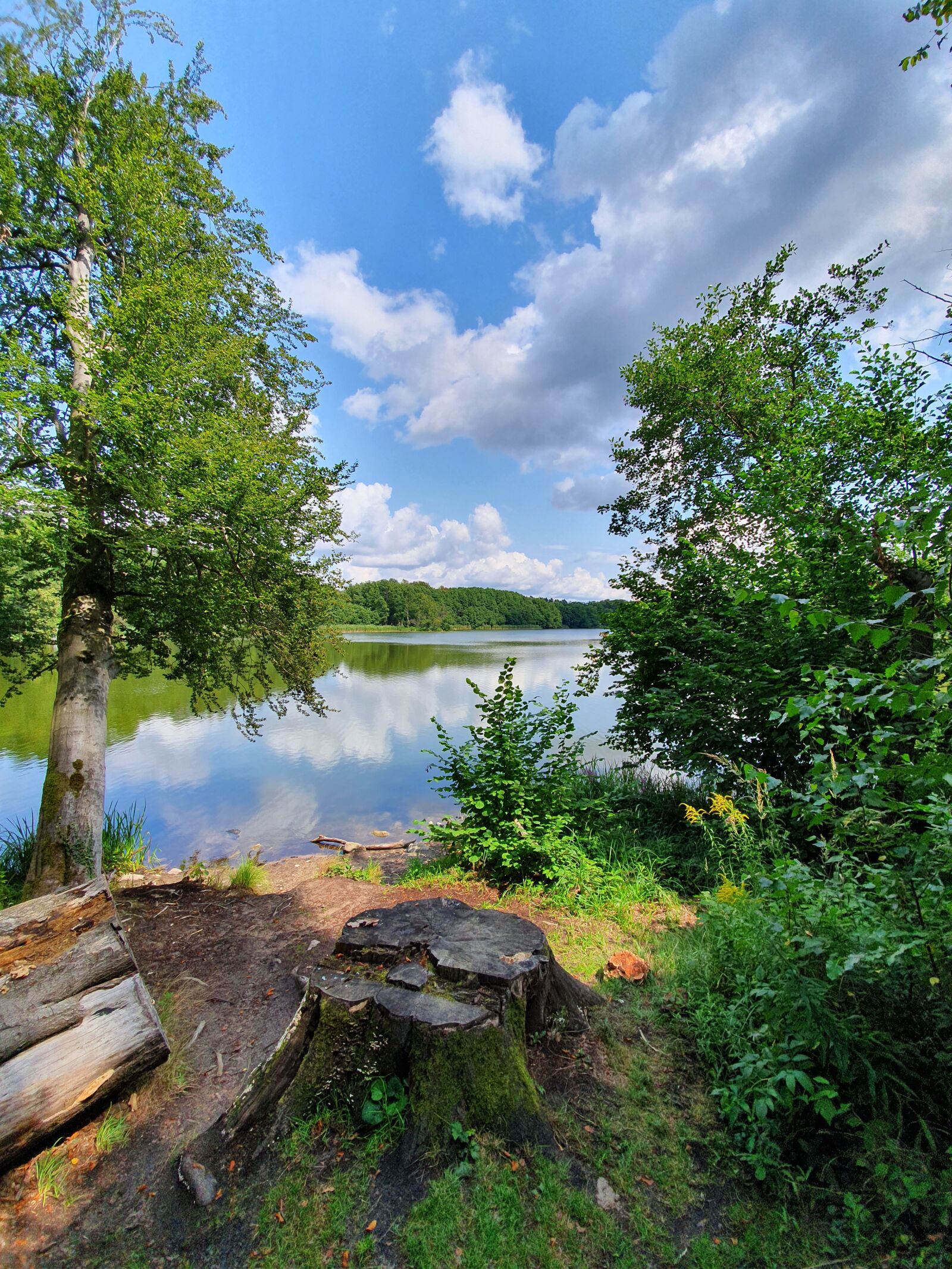 Samsung Galaxy S10e sample photo. Chorin, amtssee chorin, nature photography