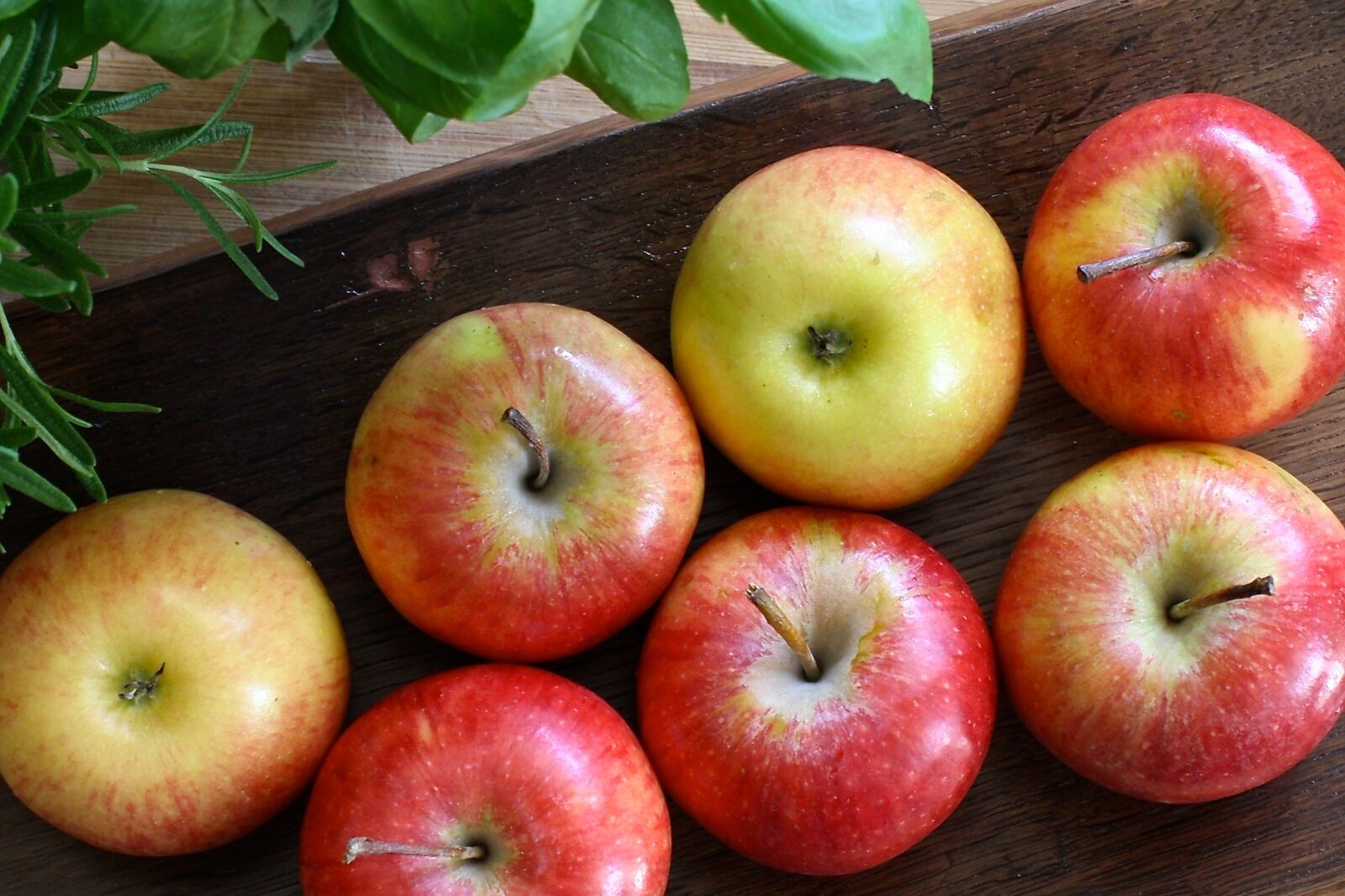 Canon EOS 1000D (EOS Digital Rebel XS / EOS Kiss F) sample photo. Apple, red, wood photography