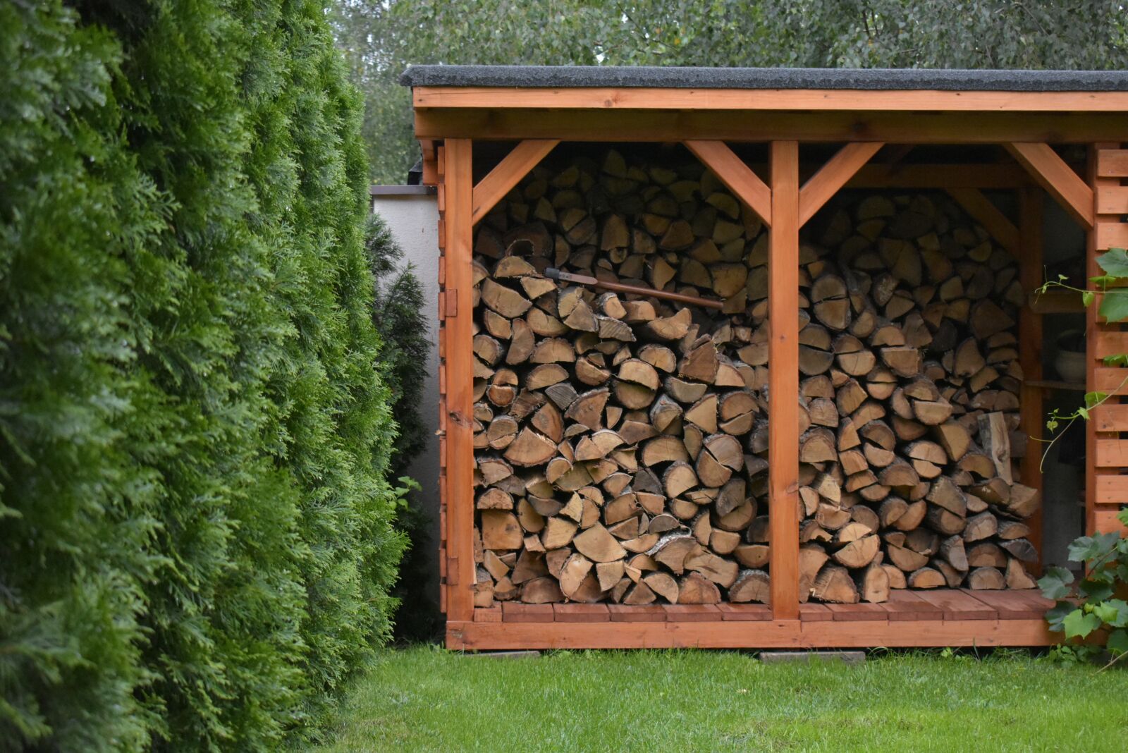 Nikon D3400 sample photo. Wood, bower, grass photography