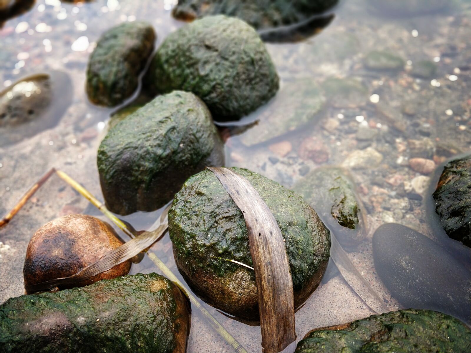 OnePlus 5T sample photo. The stones, beach, water photography