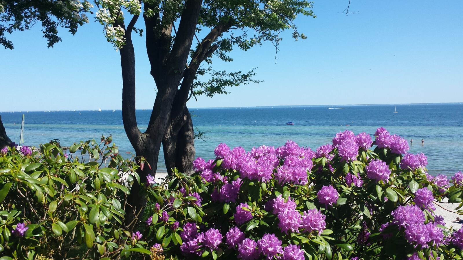 Samsung Galaxy S4 sample photo. Sea, lake, ocean photography