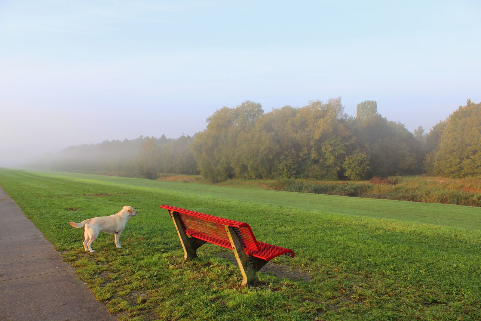 Canon EOS 600D (Rebel EOS T3i / EOS Kiss X5) sample photo. View, foggy, dyke photography