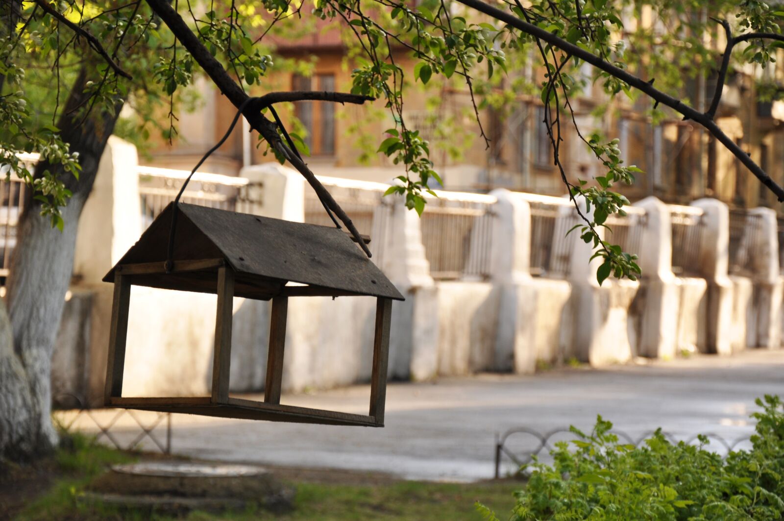 Nikon D90 sample photo. Feeder, fence, tree photography
