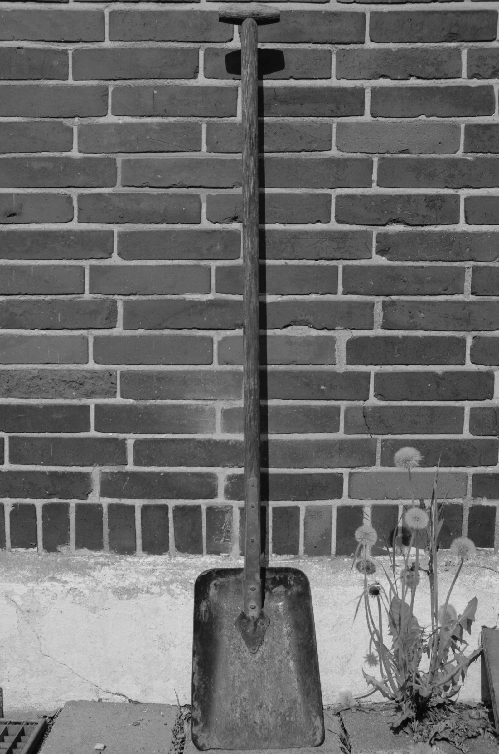 Nikon D5100 sample photo. Blade, gardening equipment, gardening photography