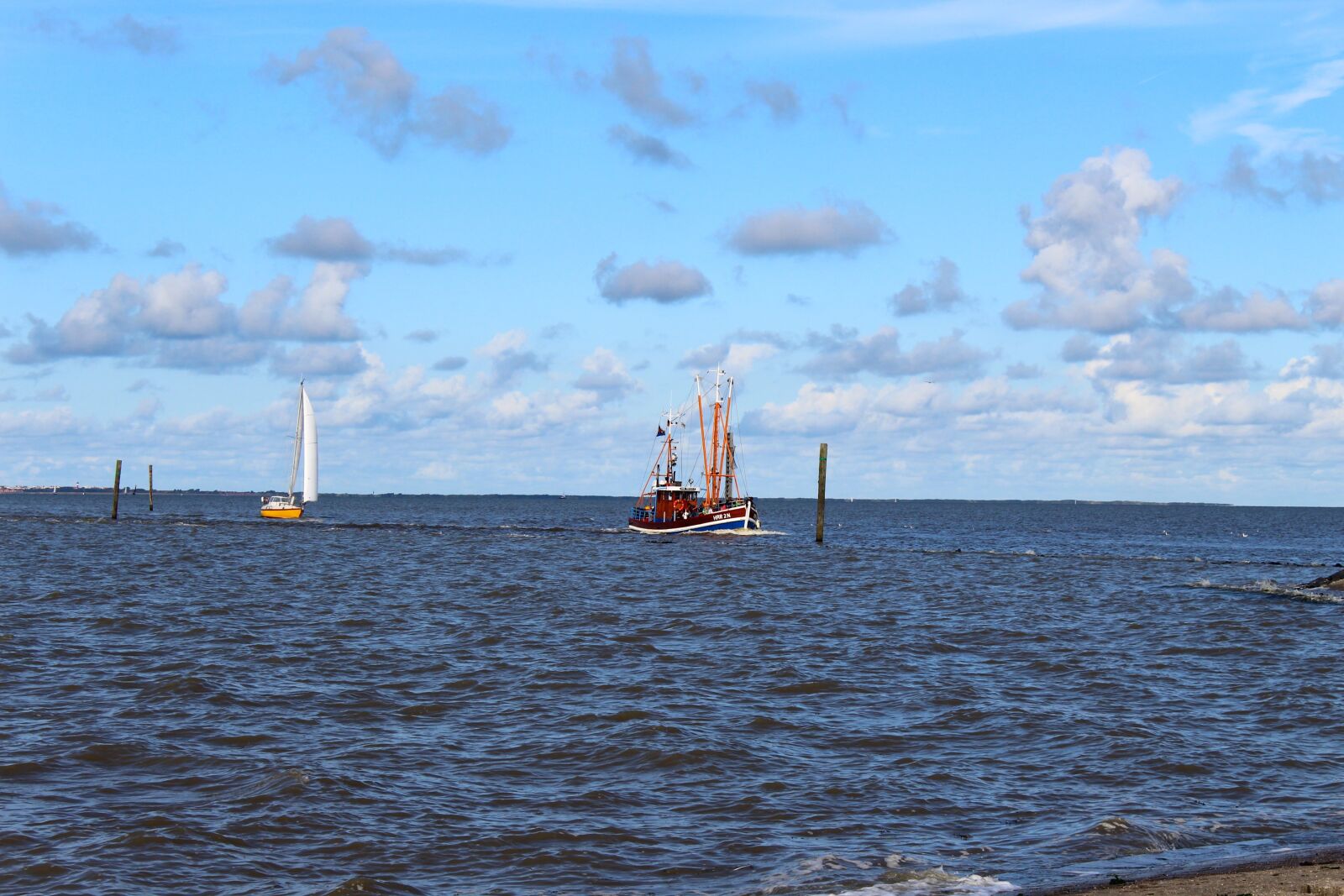 Canon EOS 1300D (EOS Rebel T6 / EOS Kiss X80) sample photo. Shrimp, cutter, north sea photography